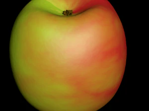 apple 3D Model