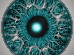 eyetable 3Dモデル