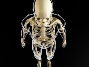 skeleton and human body Modelo 3D
