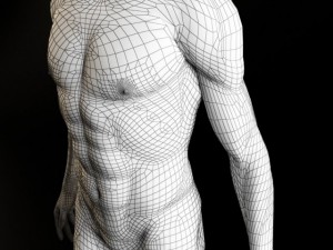 skeleton and human body Modelo 3D