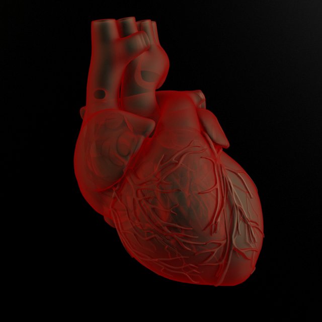 heart and body Modelo 3D .c4d .max .obj .3ds .fbx .stl .blend 