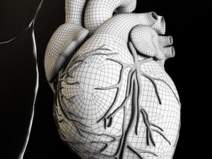 heart and body Modelo 3D