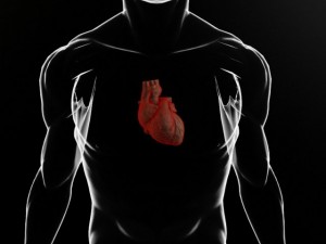 heart and body Modelo 3D