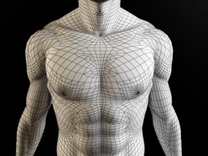 heart and body Modelo 3D