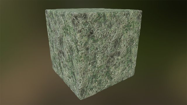 grass texture pbr ready CG Textures .c4d .max .obj .3ds .fbx .stl .blend 