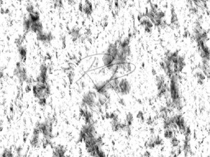 grass texture pbr ready CG Textures