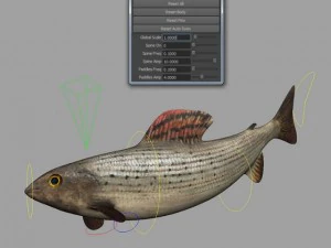 fish 3D Model