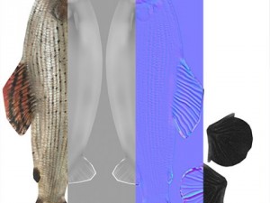 fish Modèle 3D