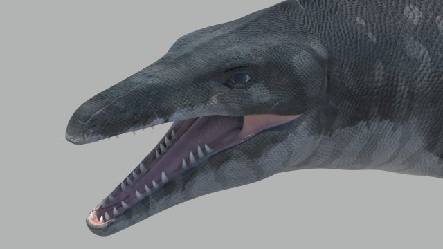 Mosasaurus hoffmanni 3Dモデル .c4d .max .obj .3ds .fbx .stl .blend 