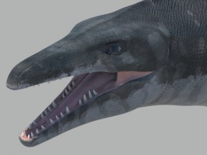 Mosasaurus hoffmanni Model 3D
