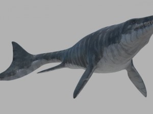 Mosasaurus hoffmanni 3Dモデル