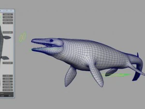 Mosasaurus hoffmanni 3D Model