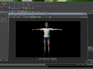 dezi 3D Model