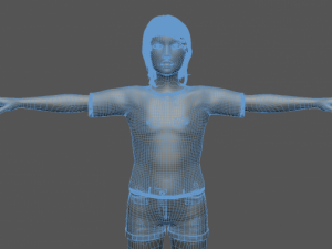 dezi 3D Model