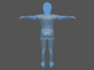 dezi 3D Model