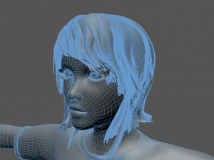 dezi 3D Model