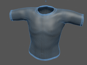 dezi 3D Model