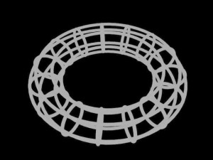 torus of circles ring 3D प्रिंट मॉडल