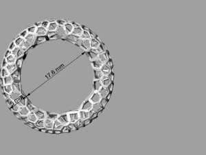 octagonal ring 3D Print Model