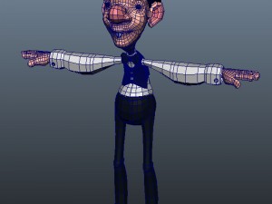 willey Modello 3D