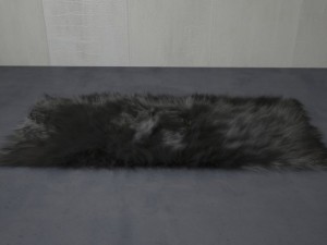 carpet 3D Model