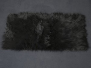carpet 3Dモデル