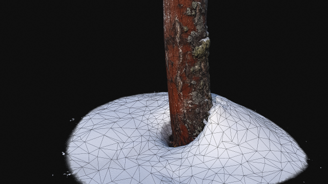 photoscan birch trunk with snow 2 Modelo 3D .c4d .max .obj .3ds .fbx .stl .blend 