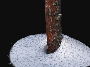 фотосканування стовбура берези зі снігом 2 3D Модель