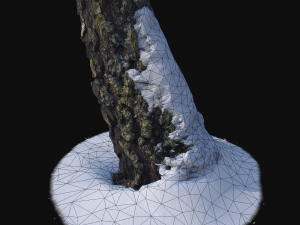 photoscan birch trunk with snow 5 Modelo 3D