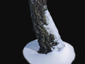 photoscan birch trunk with snow 5 Modelo 3D