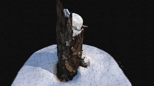 photoscan stump with snow 1 3d Modèle 3D .c4d .max .obj .3ds .fbx .stl .blend 