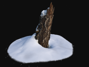 photoscan stump with snow 1 3d Modèle 3D