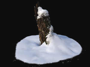photoscan stump with snow 1 3d Modèle 3D