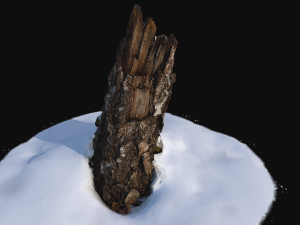 photoscan stump with snow 1 3d Modèle 3D