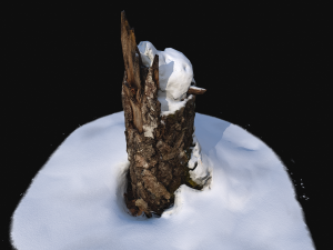 photoscan stump with snow 1 3d Modèle 3D