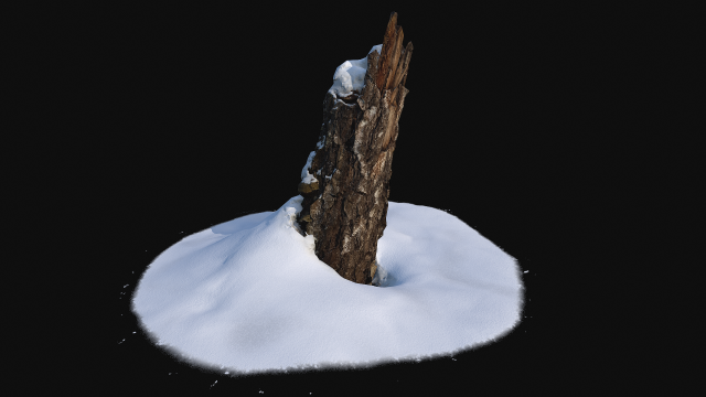 photoscan stump with snow 1 Modello 3D .c4d .max .obj .3ds .fbx .stl .blend 