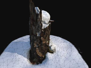 photoscan stump with snow 1 Modello 3D
