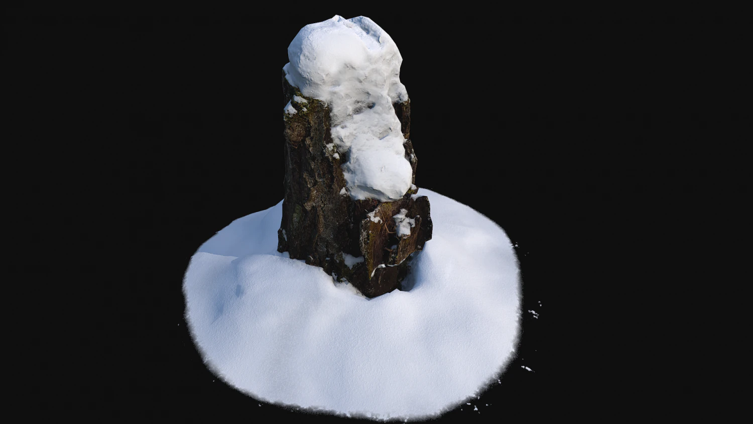 photoscan birch trunk with snow 2 3D Model .c4d .max .obj .3ds .fbx .stl .blend 