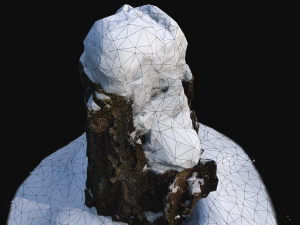 photoscan birch trunk with snow 2 Modelo 3D