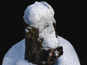 photoscan birch trunk with snow 2 3D Model
