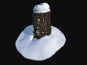 photoscan birch trunk with snow 2 3D Model