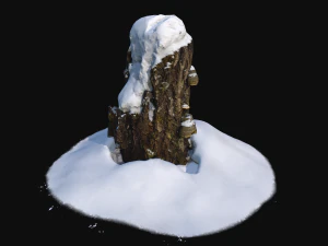 photoscan birch trunk with snow 2 3D Model