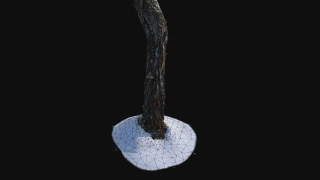 broken birch trunk with snow 1 vr Modello 3D .c4d .max .obj .3ds .fbx .stl .blend