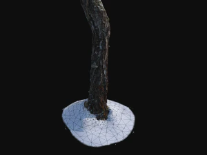 tronco di betulla rotto con neve 1 vr Modello 3D