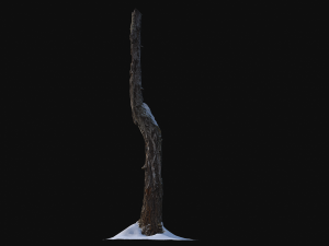 broken birch trunk with snow 1 vr Modello 3D
