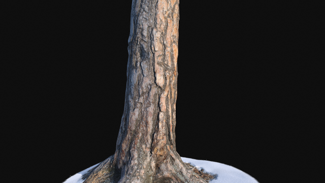 pine trunk with snow 1 vr 3d Modello 3D .c4d .max .obj .3ds .fbx .stl .blend 