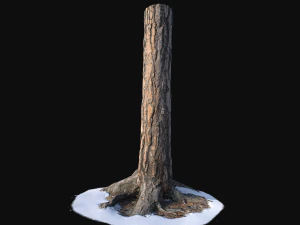 pine trunk with snow 1 vr 3d 3D Model