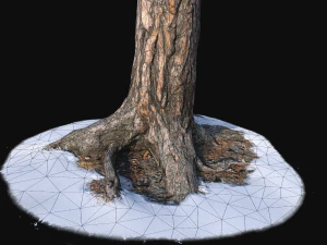 pine trunk with snow 1 vr 3d 3D Model