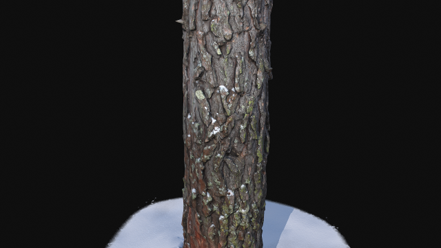pine trunk with snow 2 vr 3Dモデル .c4d .max .obj .3ds .fbx .stl .blend 
