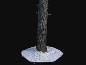 pine trunk with snow 2 vr 3D Model